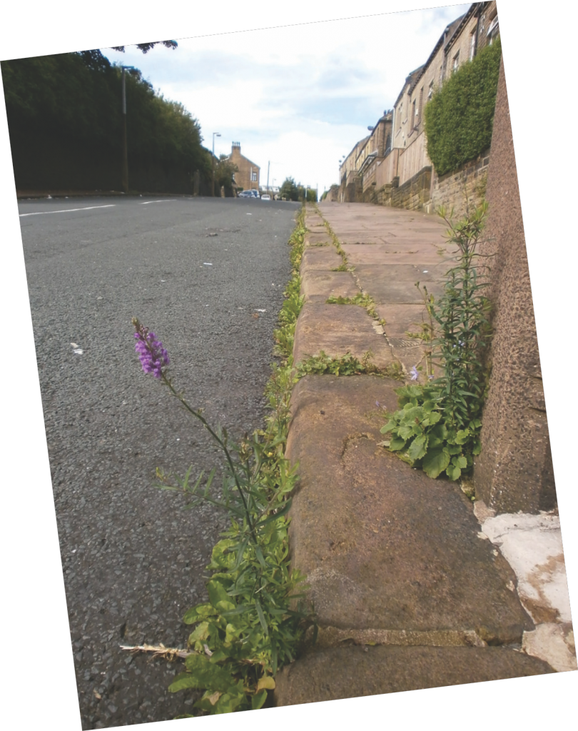 When spraying pavements, spray must be localised on actual weeds.