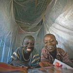 Insecticide Treated Bednets for Malaria Control