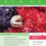International Pest Control – March/April 2024 – Vol 66, Nr.2