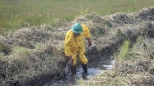 combatting-maleria-580