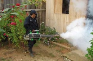 Fogging of oil-based solution with IGEBA TF35