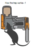 The trap is set live, powered by a compressed CO2 canister. The rat is attracted to the lure within the trap and enters to investigate.