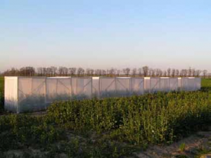 Isolator cages (1.5 x 5 x 1.8 metres) at winna gora, Poland; each containing an individual hive. 