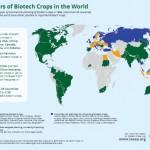 Barriers to the adoption of GM crops
