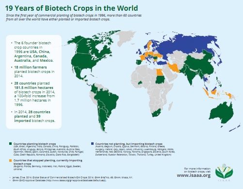 19years of Biotech Crops in the World