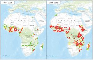 Pyrethroid resistance in Arican malaria vectors in Africa from 1984–2004 (left map) and 2005–2015 (right map). Red dots show resistant populations according to WHOs definition following exposure to a discriminating dose; yellow dots show possible resistance; green dots show susceptible populations. Reproduced from IR Mapper with permission of IR Mapper, March 2015.