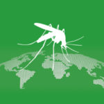 World Pest Awareness Day