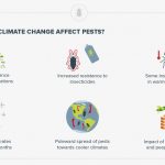 How climate change is creating a global pest problem